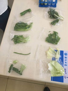 樂從中學食堂食用農產品快檢信息公布，保障師生飲食安全