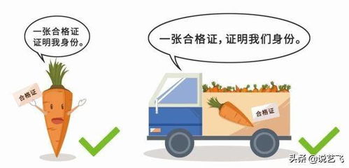 武漢開出首批食用農產品電子合格證 科技賦能守護“舌尖上的安全”