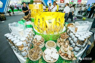 阜陽名優農產品閃耀合肥農交會 近300種精品展現農業強市風采